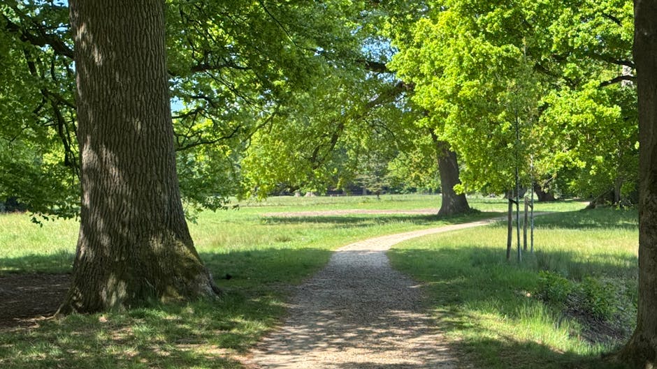 A shaded pathway within a park, featuring a narrow, light-colored gravel route curving gently through lush green grass and tall, mature trees with thick trunks and dense foliage. The sunlight filters through the leaves, creating dappled patterns on the ground. In the background, the pathway continues toward a clearing with more trees and open space. The scene appears tranquil and is characteristic of outdoor environments often associated with residential and commercial relocations, supporting best routes and timing for house removals, as visualized by Hounslow Man and Van.